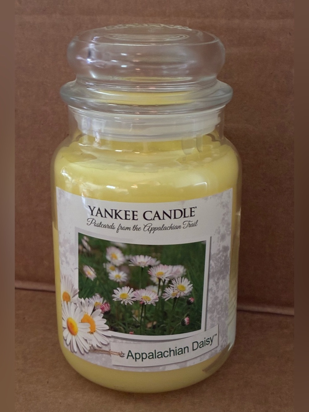 NEW Yankee Candle ~ RETIRED Scent ~ Appalachian Daisy Postcards Collection; 22oz